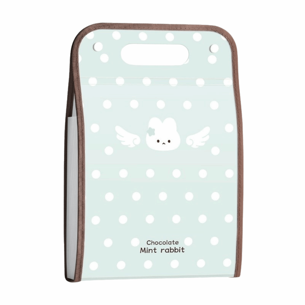 Expandable Polka Point Expandi - Expandable Accordion File Folder 13 Pockets 评论和价格